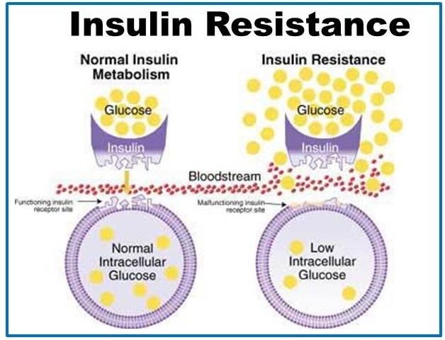 Insulin-Resistance-1.thumb.jpg.dad0b0755