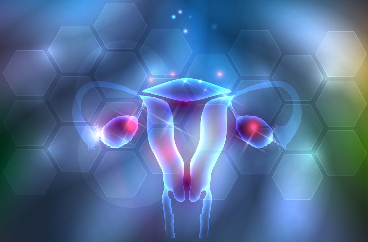 maticne celije u ginekologiji